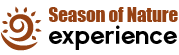 logo-img